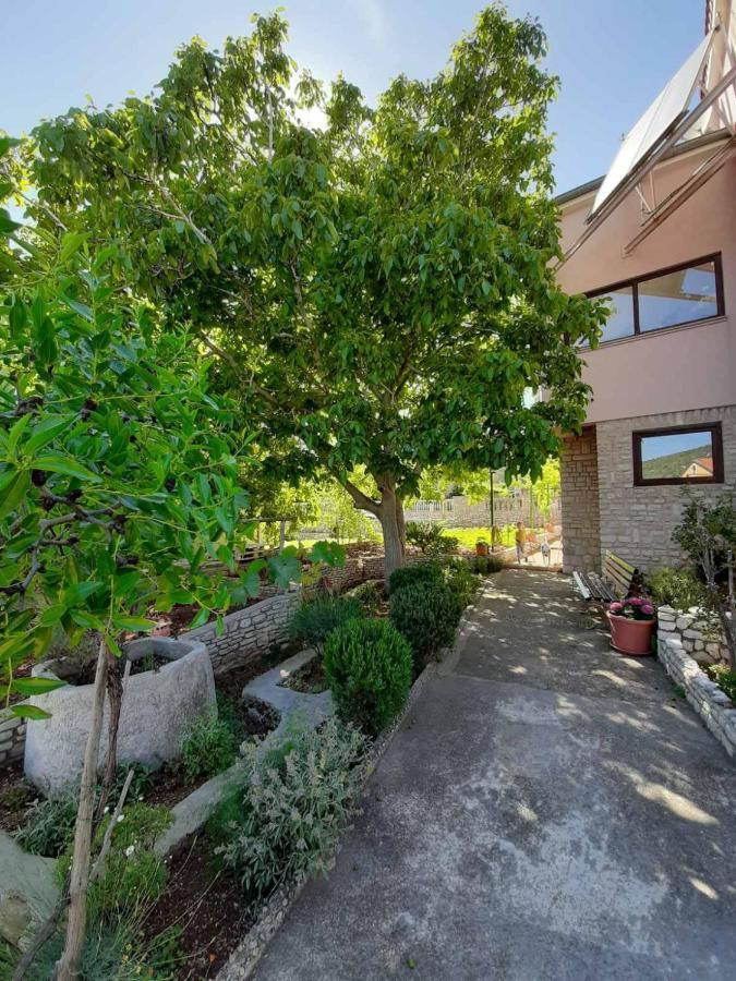 Apartments Izabela Muzic-Fornaric Црес Екстер'єр фото